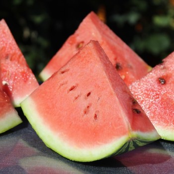 Wassermelone Crimson Sweet (Samen)