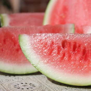 Wassermelone Dixie Queen (Samen)