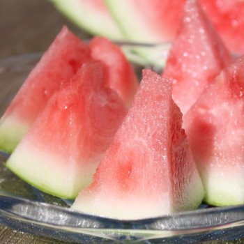 Wassermelone Dixie Queen (Samen)