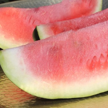 Wassermelone Florida Giant (Samen)