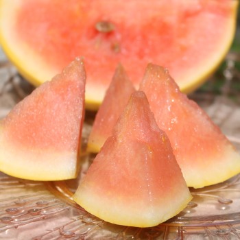 Wassermelone Golden Midget (Samen)
