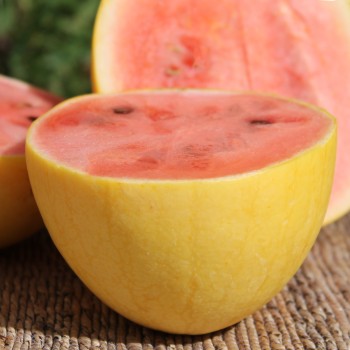 Wassermelone Golden Midget (Samen)