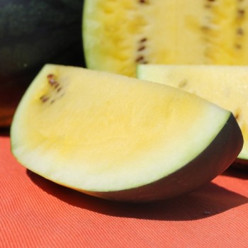 Wassermelone Janosik (Samen)