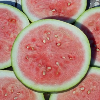 Neu! Wassermelone Kleckly Sweet (Samen)