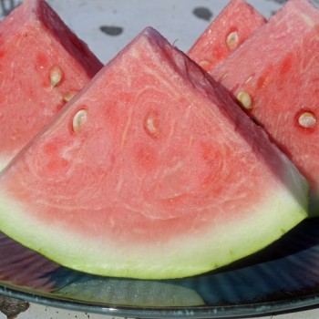 Neu! Wassermelone Kleckly Sweet (Samen)
