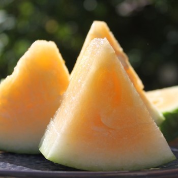 Wassermelone Moon and Stars Yellow Fleshed (Samen)