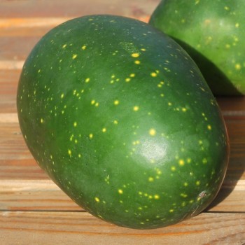 Wassermelone Moon and Stars Yellow Fleshed (Samen)
