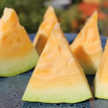 Wassermelone Mountain Sweet Yellow