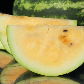 Wassermelone Mountain Sweet Yellow (Samen)