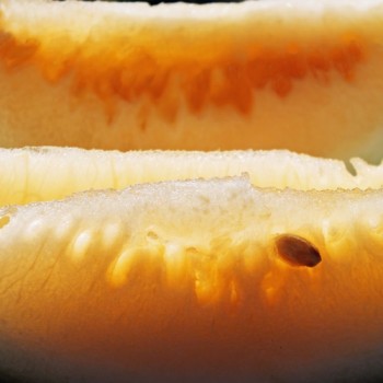 Wassermelone Orangeglo (Samen)