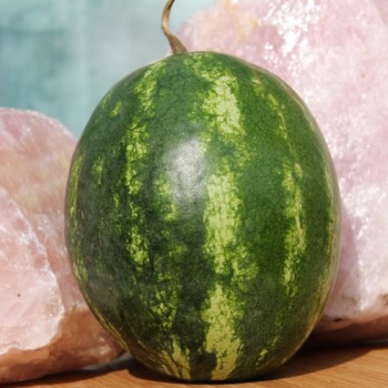 Wassermelone Orangeglo (Samen)