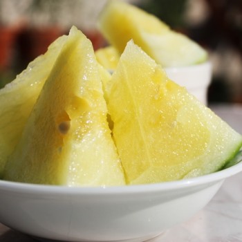 Wassermelone Petit Yellow (Samen)