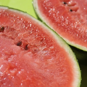 Wassermelone Sugar Baby (Samen)