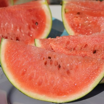 Wassermelone Sugar Baby (Samen)