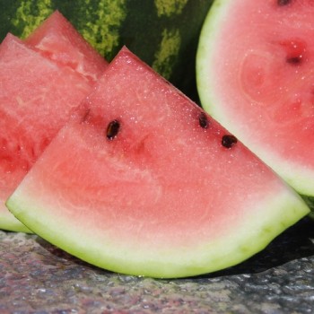 Wassermelone Sweet Dakota Rose (Samen)