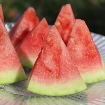 Wassermelone Wilson's Sweet (Samen)