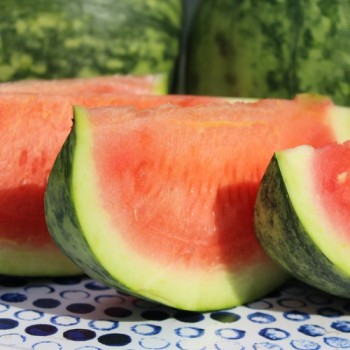 Wassermelone Wilson's Sweet (Samen)