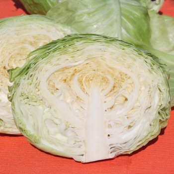 Weißkohl Glory of Enkhuizen (Samen)