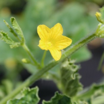 - Kopie - Kopie - Kopie - Kopie