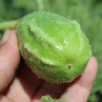 - Kopie - Kopie - Kopie - Kopie