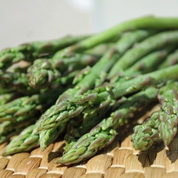 Wildspargel (Samen)