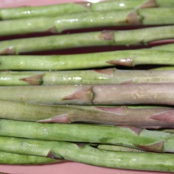 Wildspargel (Samen)