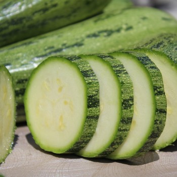 Zucchini Caserta (Samen)