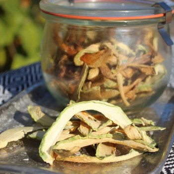 Zucchini Verte Noire Maraichere (Samen)