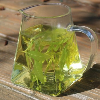 Zitronenverbene Golden (Pflanze)