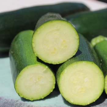 Zucchini Black Beauty (Samen)