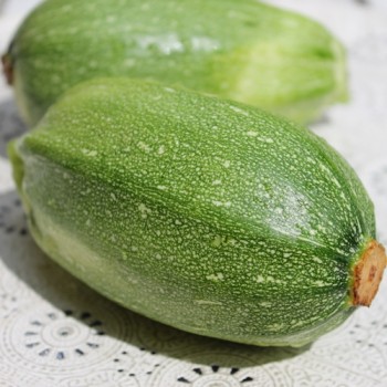 Zucchini Bolognese (Samen)