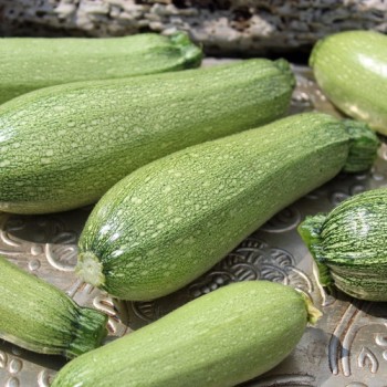 Zucchini Gray (Samen)