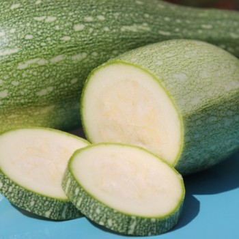 Zucchini Gray (Samen)