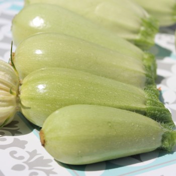Zucchini Long White Bush (Samen)