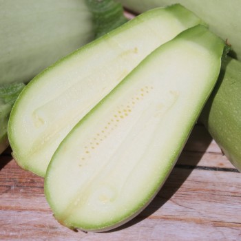 Zucchini Long White Bush (Samen)