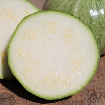 Zucchini Ronde de Nice (Samen)