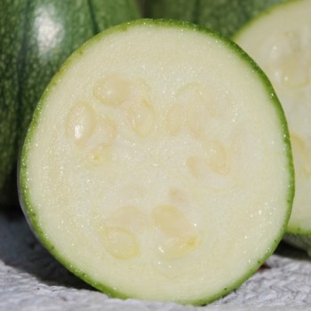 Zucchini Tatume (Samen)