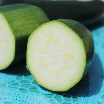 Zucchini Verte Noire Maraichere (Samen)
