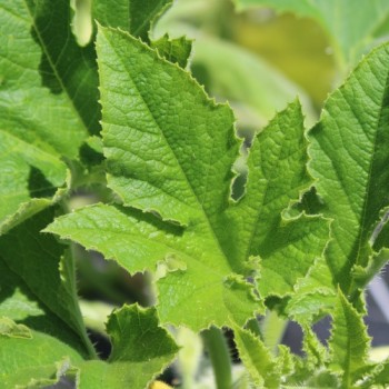 - Kopie - Kopie - Kopie - Kopie - Kopie