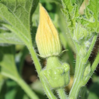 - Kopie - Kopie - Kopie - Kopie - Kopie