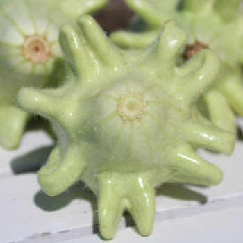 - Kopie - Kopie - Kopie - Kopie - Kopie