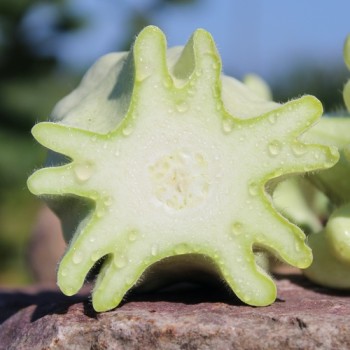 - Kopie - Kopie - Kopie - Kopie - Kopie