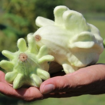 - Kopie - Kopie - Kopie - Kopie - Kopie