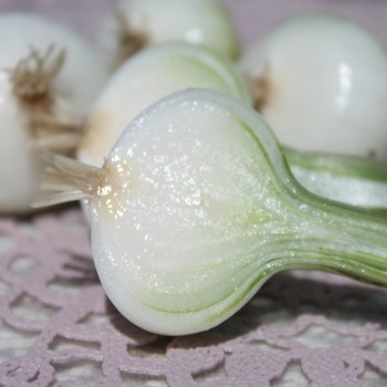 Silberzwiebel Barletta (Samen)