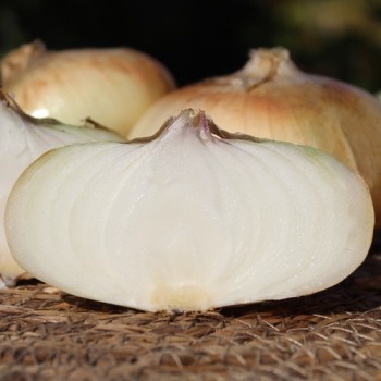 Zwiebel Jaune doux de Lézignan (Samen)