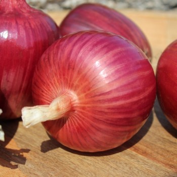 Zwiebel Ramata Rossa (Samen)