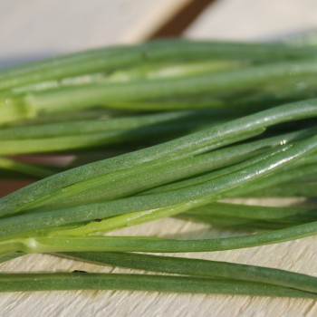 Agretti (Samen)