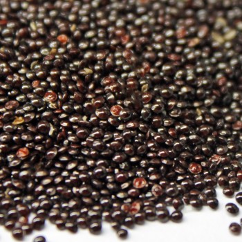 Amaranth Tarahumara Okite (Samen)