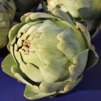 Artischocke Vert de Laon (Samen)