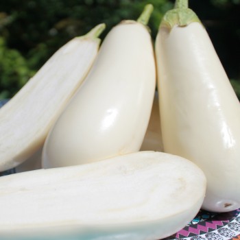 Aubergine Casper (Samen)